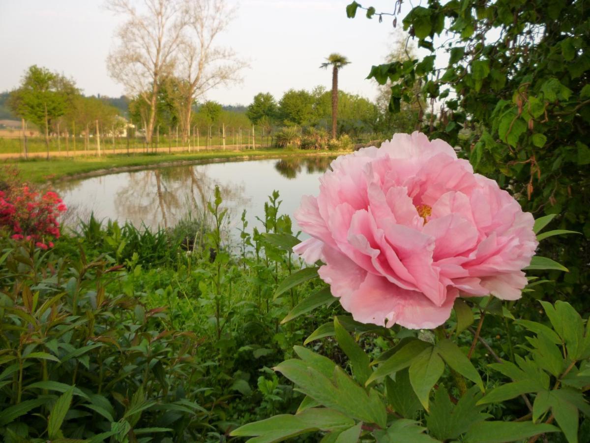 Pensjonat Country House Barone D'Asolo Zewnętrze zdjęcie